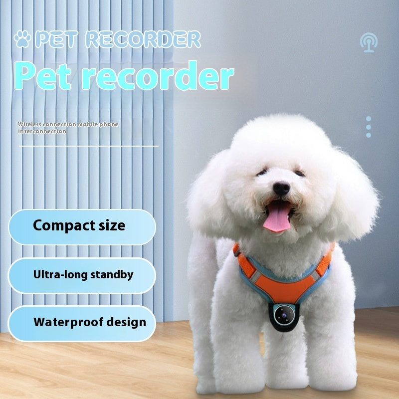 C* Pets Recorder Pet Tracker Collar Dogs And Cats Viewing Angle Motion Recording Camera Action Camera With Video Records Cat Collars Camera Sport Pet Products