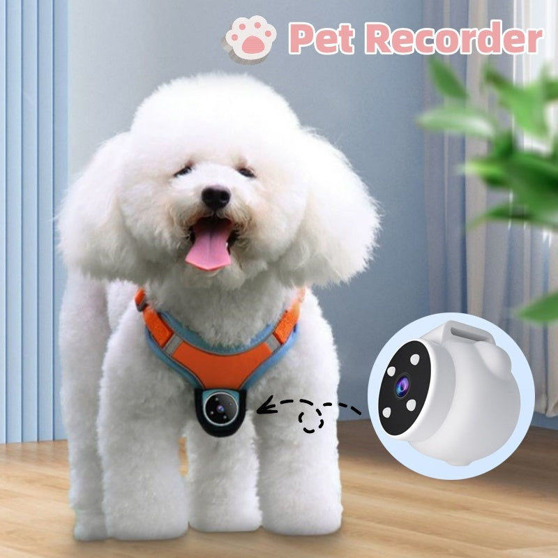 C* Pets Recorder Pet Tracker Collar Dogs And Cats Viewing Angle Motion Recording Camera Action Camera With Video Records Cat Collars Camera Sport Pet Products